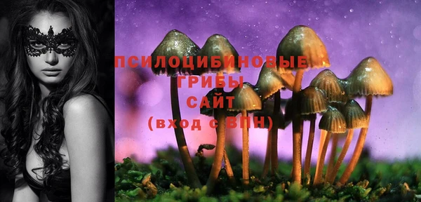 стафф Бугульма